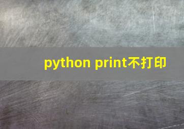 python print不打印